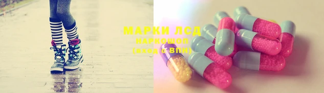 дурь Сосновый Бор
